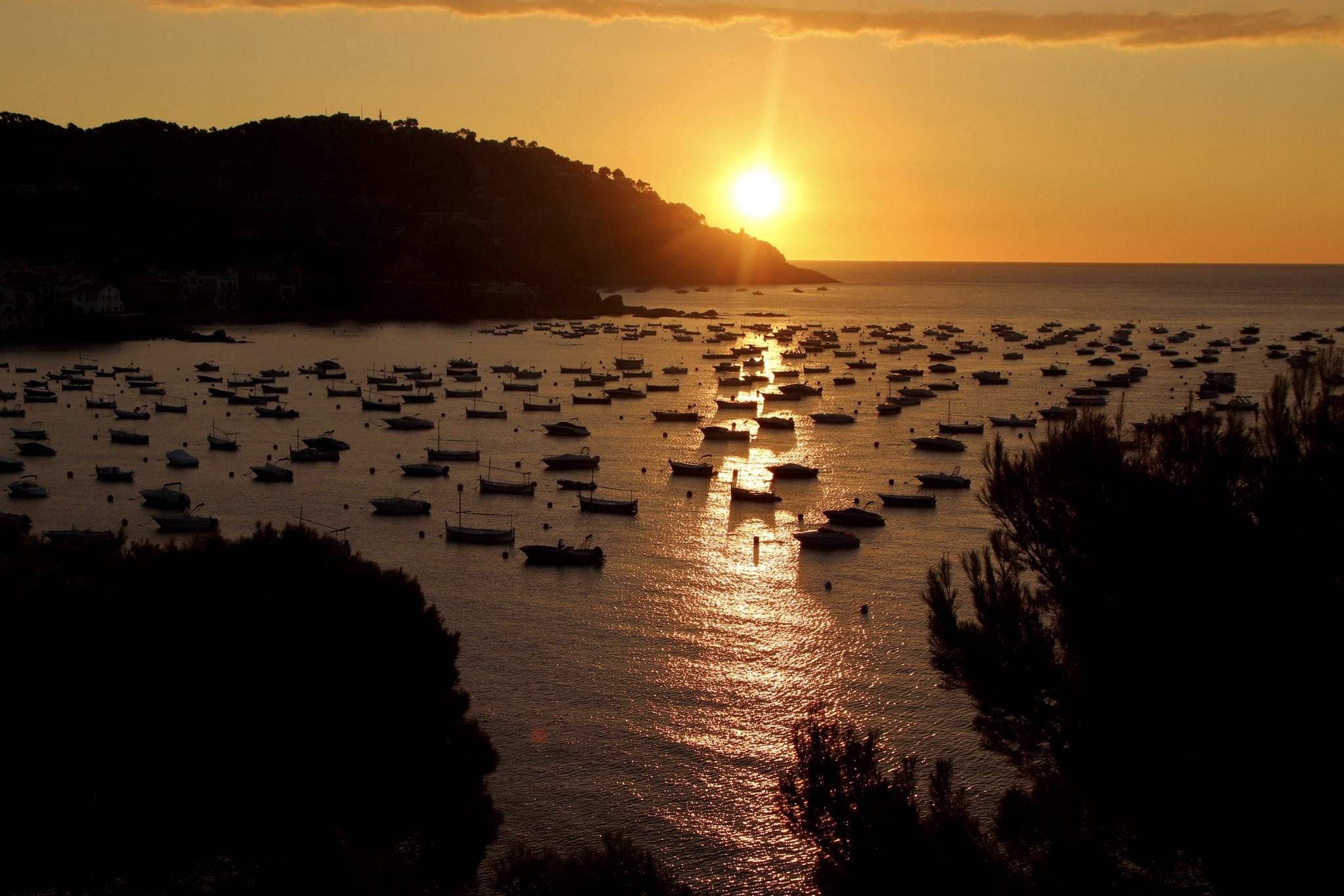 Calella de Palafrugell 17 7 25 @ipeppalafrugell @e